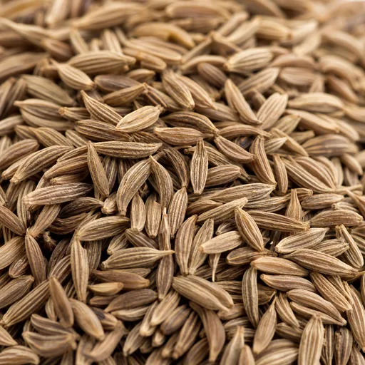 Illustration of Cumino as a raw material