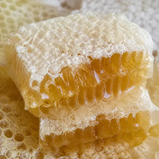 Illustration of White Honey as a raw material