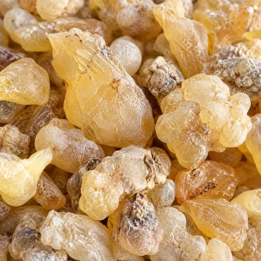 Illustration of Olibanum Oil as a raw material