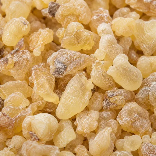 Illustration of Olibanum Tears as a raw material